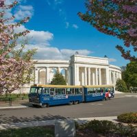 Tours & Sightseeing