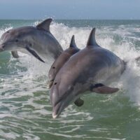 Private & Custom Tours