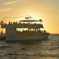 Day Cruises