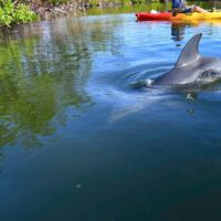 Water Sports