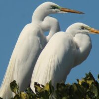 Walking & Biking Tours