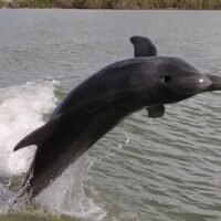 Holiday & Seasonal Tours