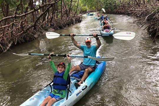 Guided Kayak Mangrove Ecotour in Rookery Bay Reserve, Naples