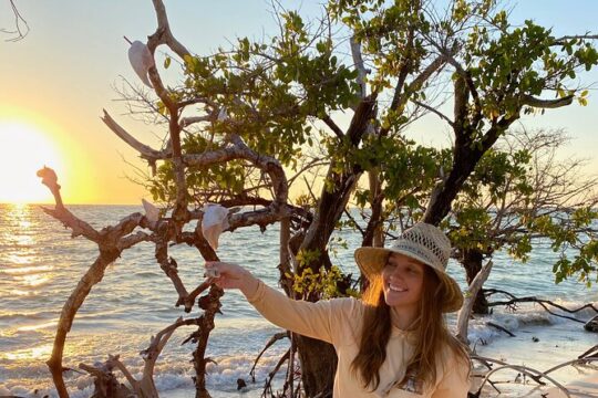 Clear Kayak Guided Tours in Naples