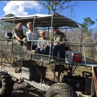 Tours & Sightseeing