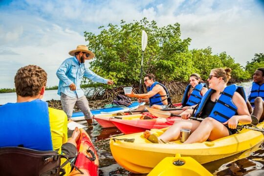 Guided Kayak Mangrove Ecotour in Rookery Bay Reserve, Naples