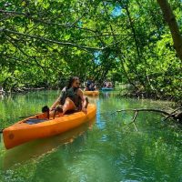 Boat Tours
