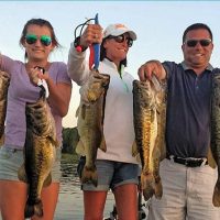 Luxury Tours
