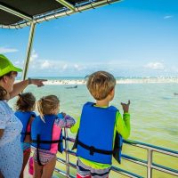 Holiday & Seasonal Tours
