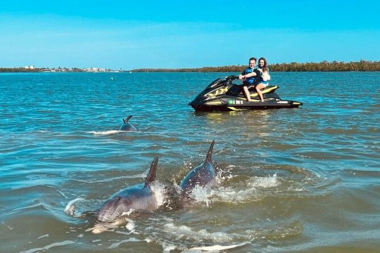 Ten Thousand Island Jet Ski Eco Tour - Marco Island