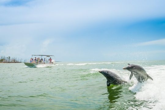 Marco Island Dolphin Sightseeing Tour