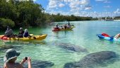 Kayak Excursion