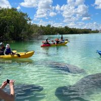 Kayaking & Canoeing