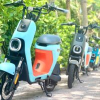 Segway Tours