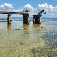 Day Trips & Excursions