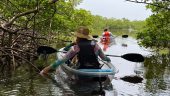 Paddle Naples