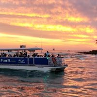 Day Cruises