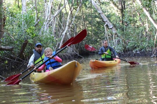 Official 10000 Islands Kayak & Canoe Rentals