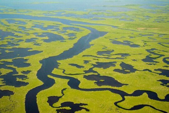 Everglades National Park Boat Tour