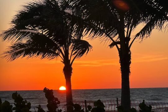 Naples Famous Sunset Tour -Trike Tour at Sunset All Ages Electric