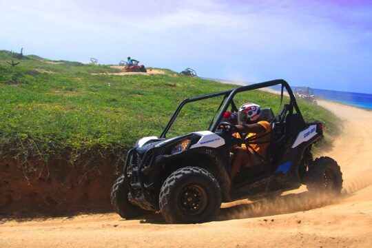 Cabo ATV Beach and Desert Adventure