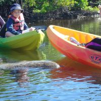 Boat Rentals