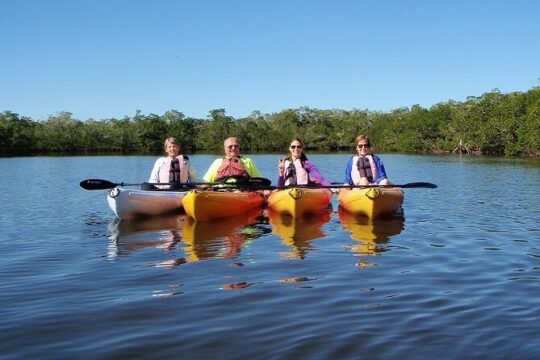 Full Day Kayak or SUP Rental (8hr) - Bunche Beach