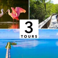 Multi-day & Extended Tours