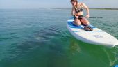 Great Kayak Tour