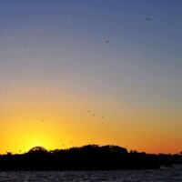 Holiday & Seasonal Tours