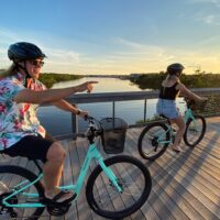 Bike Rentals
