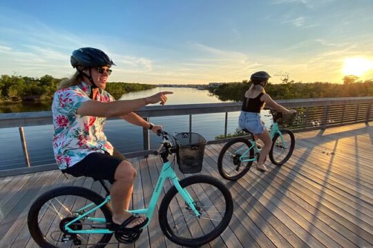 Full Day Bicycle Rental