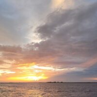 Full-day Tours