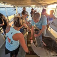 Catamaran Cruises