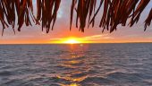 Always a great time on the Oasis Tiki Boat