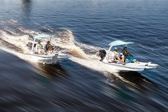Drive Our Exciting 2 man Go Cat Boat in Downtown Naples