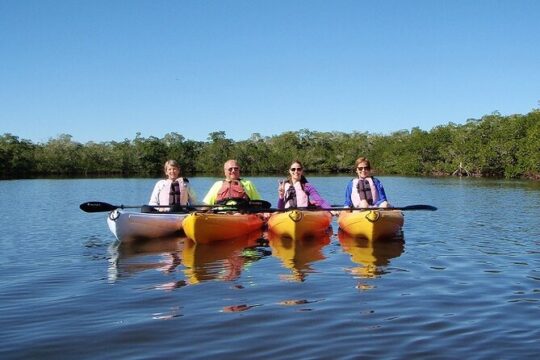 Full Day Kayak or SUP Rental (8hr) - Pelican Bay