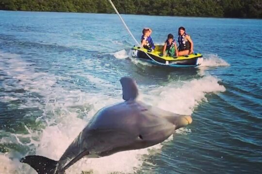Private Dolphin Watching Experience in Goodland Florida