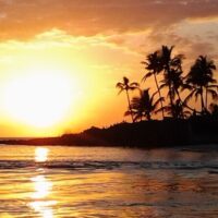 Day Trips & Excursions