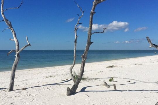 Extended Private Shell Wildlife Eco Excursion