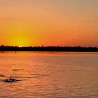 Romantic Tours