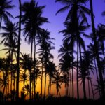 Marco Island Tours
